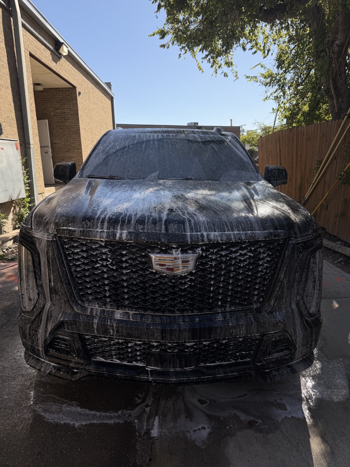 Black Cadillac Escalade covered in foam
